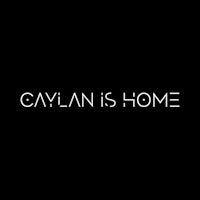 gaylan is home on a black background